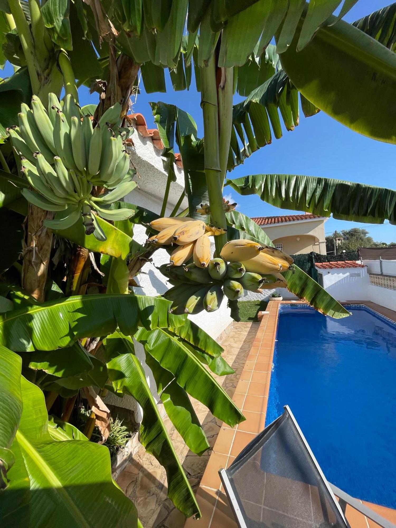 Villa Juani Vinarós Ngoại thất bức ảnh